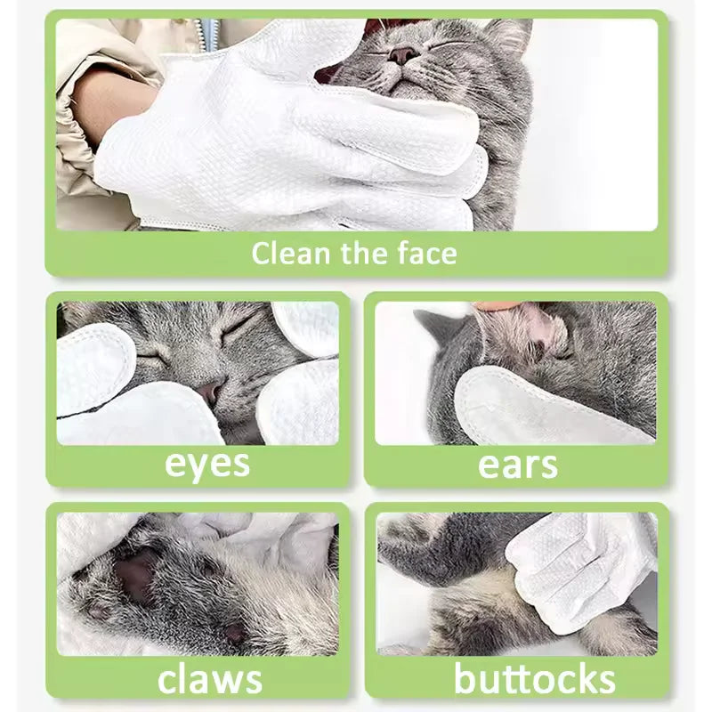 Furry Home - QuickSwipe Paw Mitt